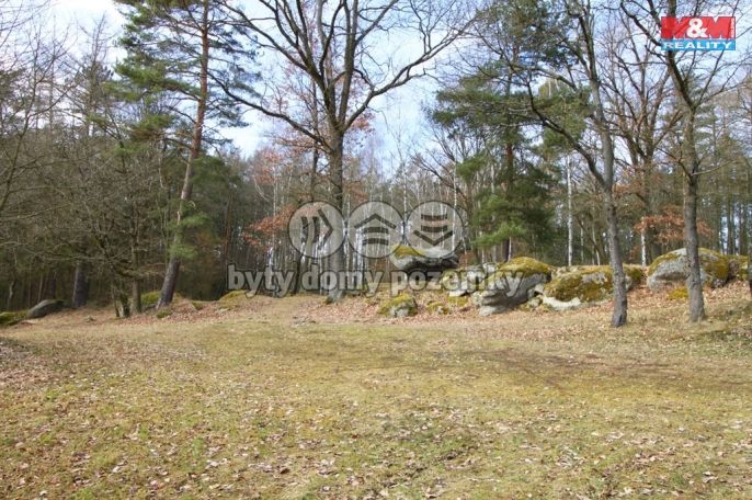 Prodej, Les, Petrovice