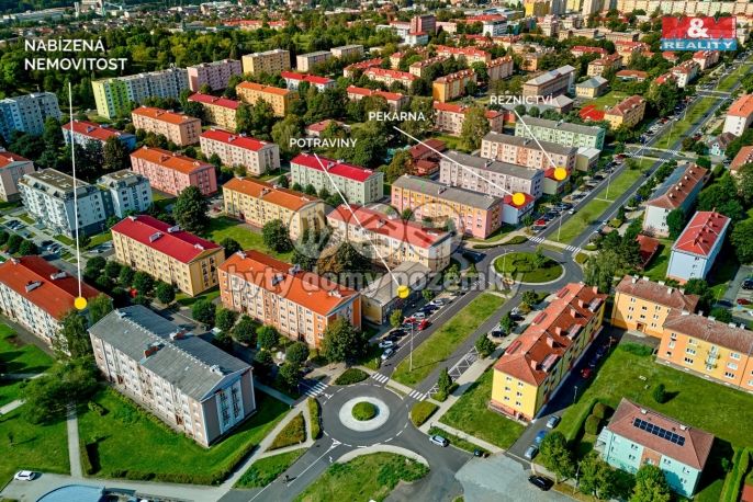 Prodej, Byt 3+1, Ostrov