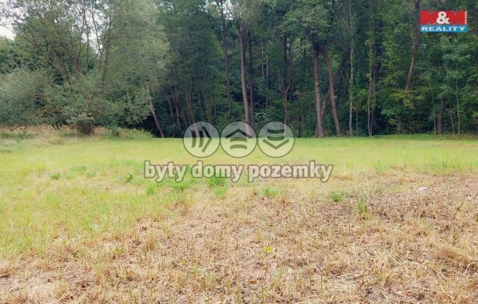 Prodej, Louka, Bystřice