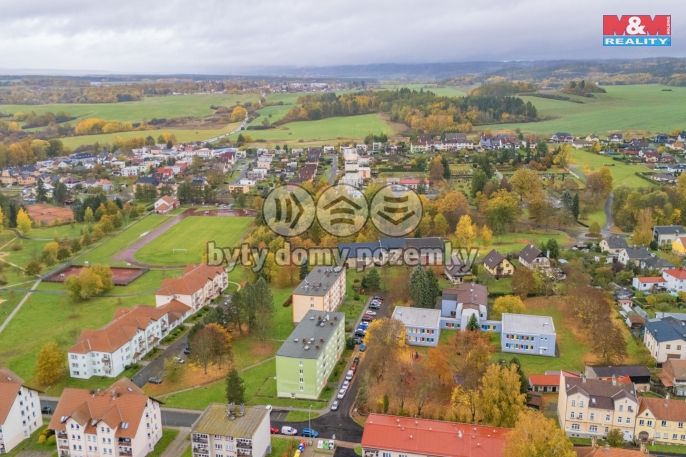 Pronájem, Byt 2+1, Planá