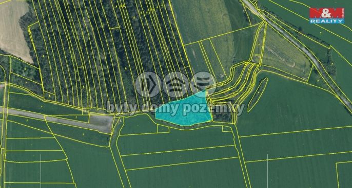 Prodej, Les, Koloveč