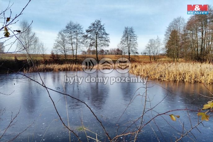 Prodej, Vodní plocha, Velká Losenice
