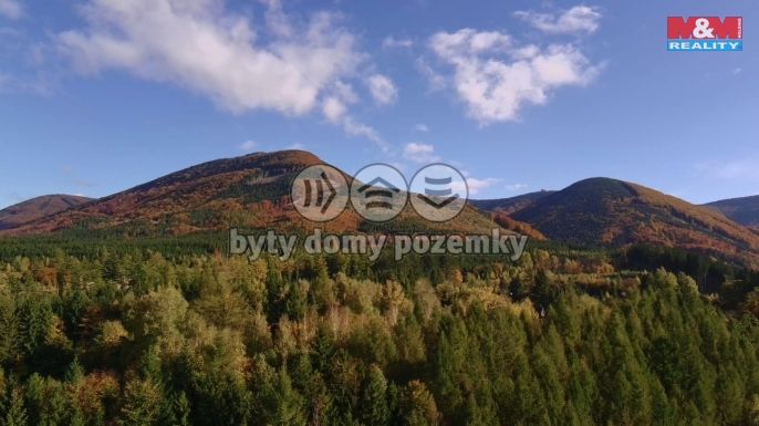 Prodej, Chata, Trojanovice