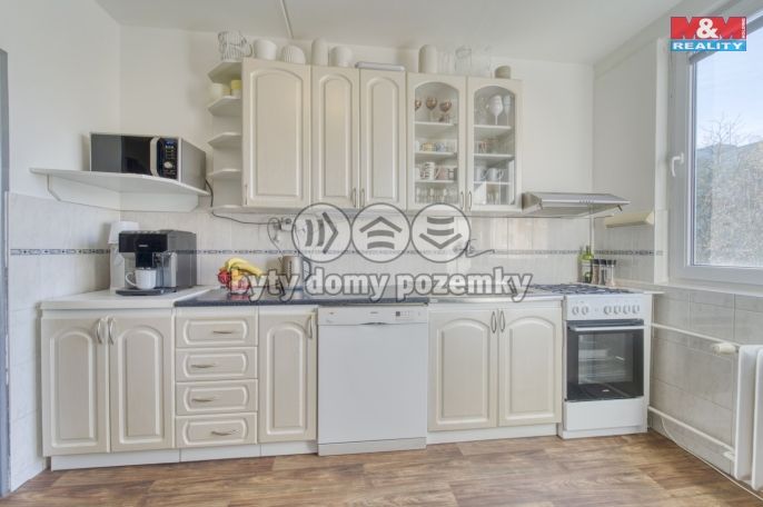 Pronájem, Byt 4+1, Plzeň