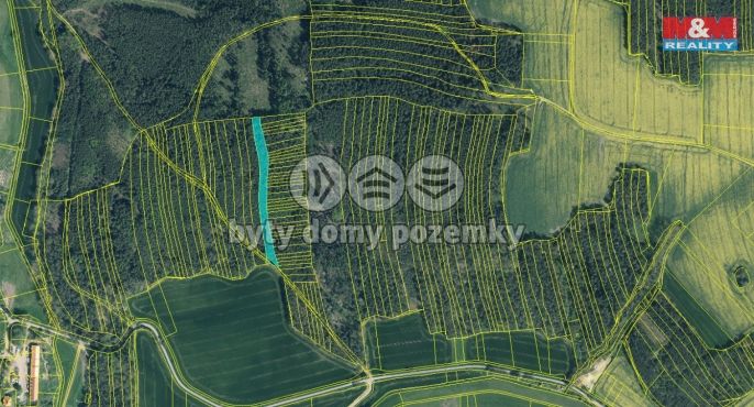 Prodej, Les, Koloveč