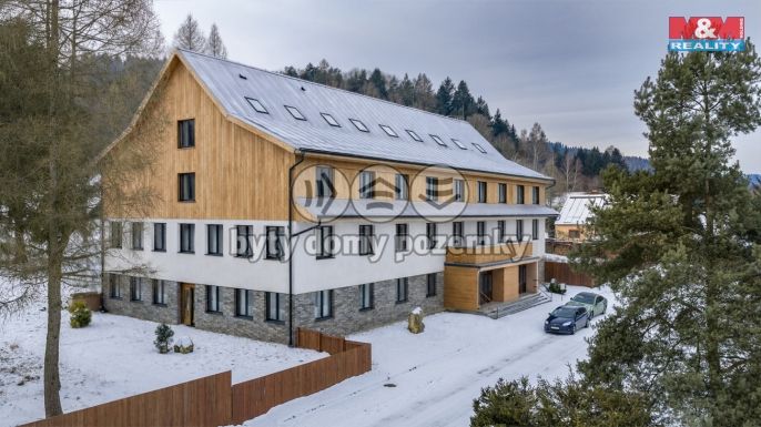 Prodej, Hotel, penzion, Borušov