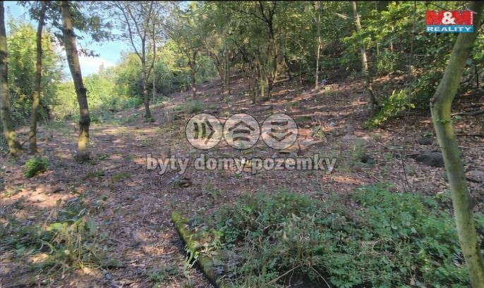 Prodej, Pozemek k bydlení, Bílina