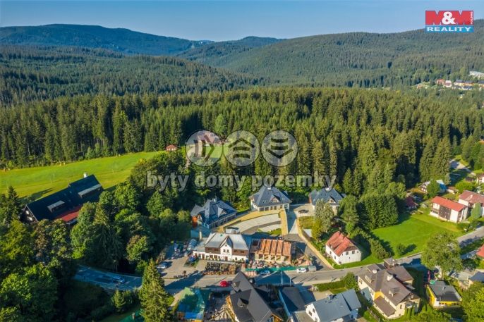 Prodej, Byt 1+kk, Harrachov