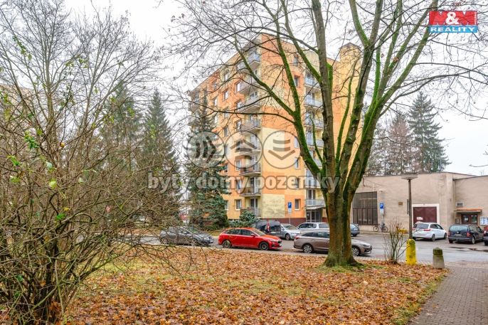 Prodej, Byt 3+1, Rychnov nad Kněžnou