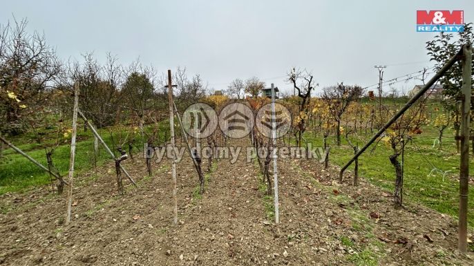 Prodej, Vinice, 371 m², Ostrožská Lhota