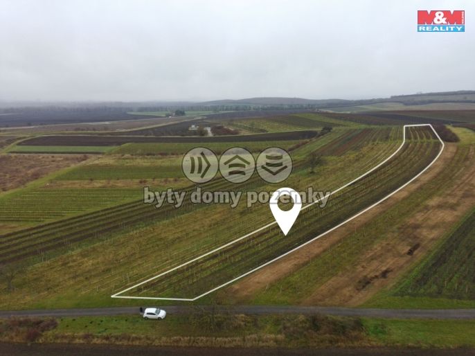 Prodej, Vinice, Dolní Dunajovice