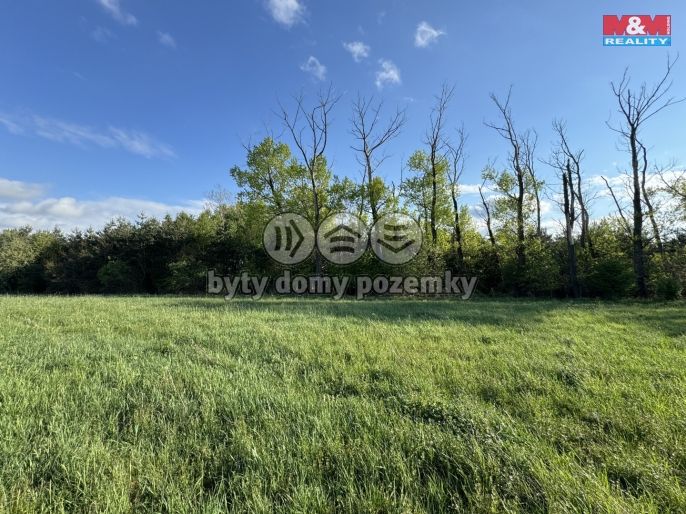 Prodej, Komerční pozemky, Homole