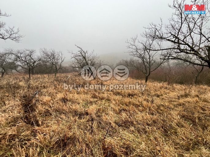 Prodej, Zahrada, Židlochovice