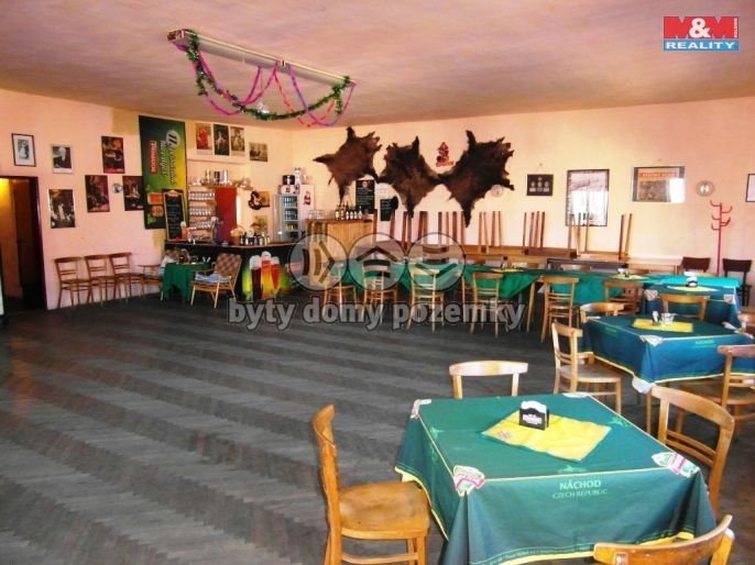 Prodej, Rodinný dům, Česká Čermná