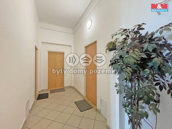 Pronájem, Byt 1+kk, Hradec Králové