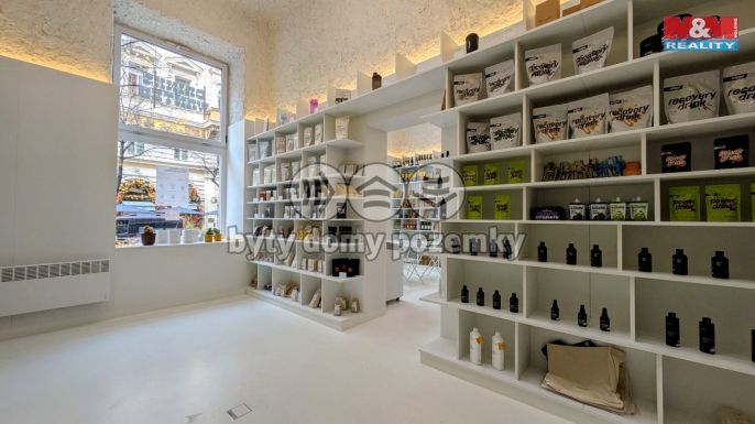 Pronájem, Obchod a služby, Praha