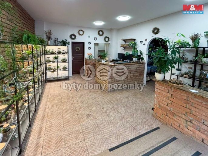 Prodej, Obchod a služby, Praha