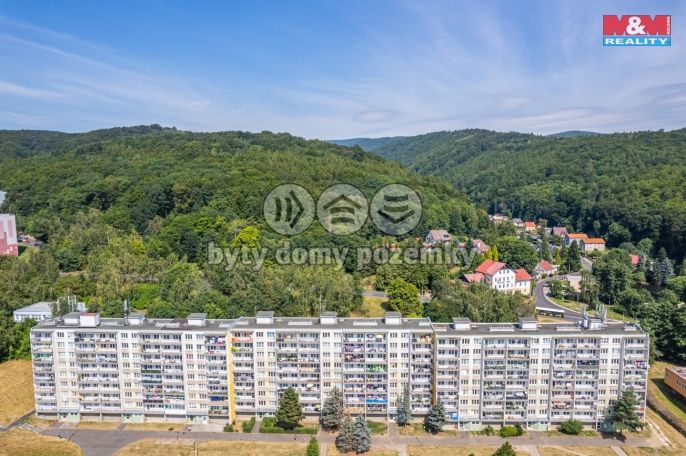 Prodej, Byt 4+1, Litvínov