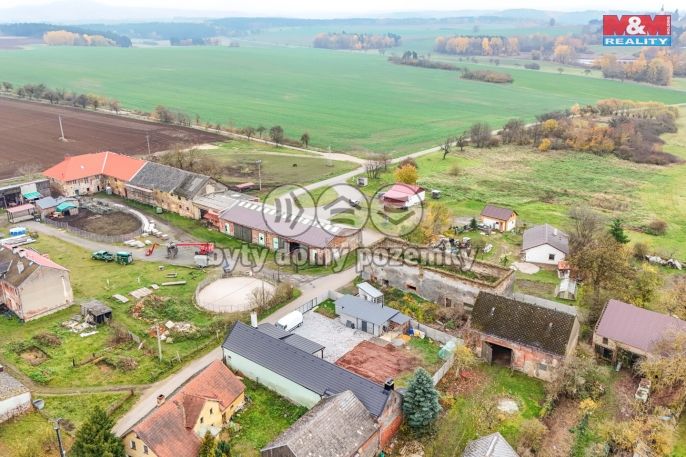 Prodej, Rodinný dům, Planá