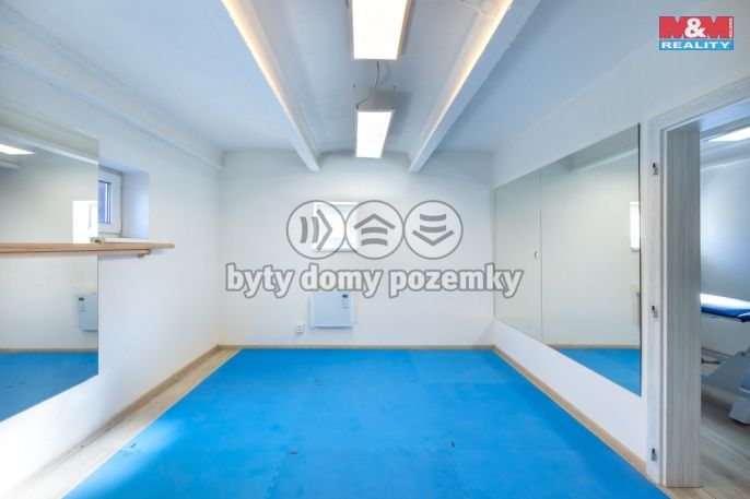 Pronájem, Obchod a služby, Louny