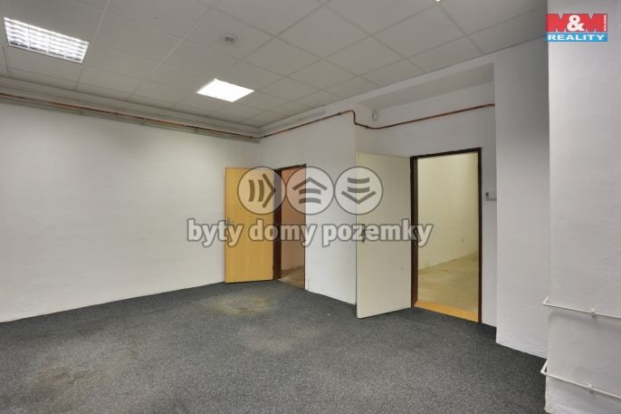 Pronájem, Obchod a služby, Český Těšín