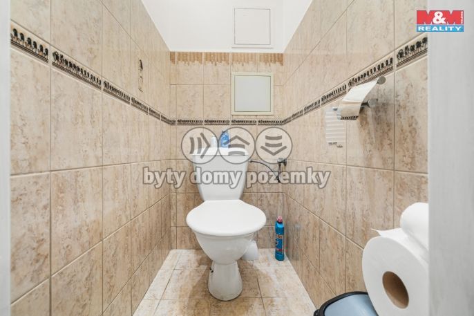 Prodej, Byt 3+1, Mladá Boleslav