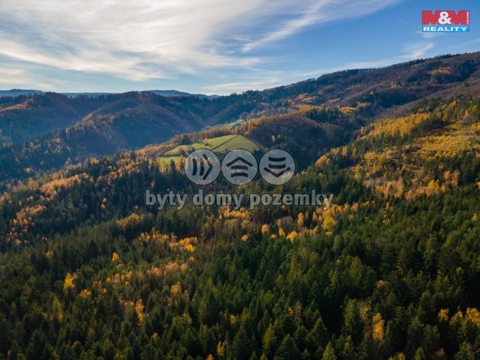 Prodej, Pastvina, Milíkov