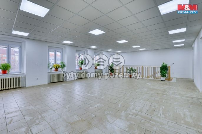 Pronájem, Obchod a služby, Přeštice