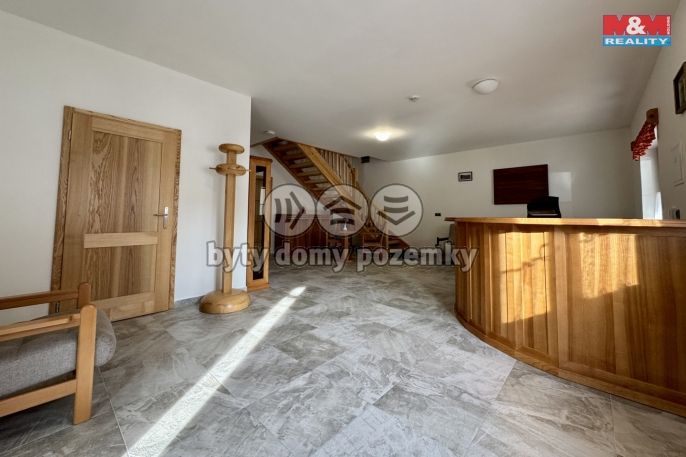 Pronájem, Byt 1+kk, Mnichov