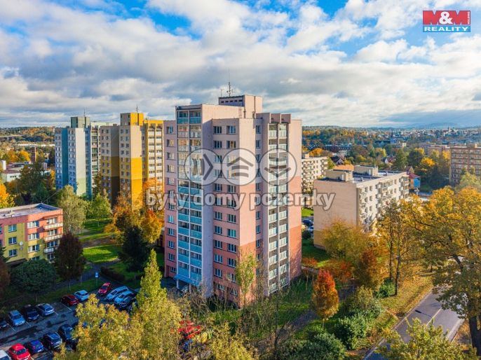 Prodej, Byt 2+1, Český Těšín