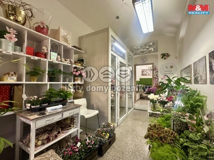 Pronájem, Obchod a služby, Praha