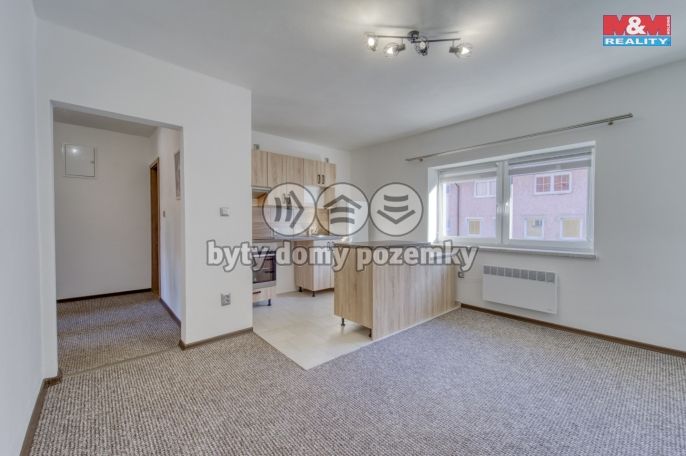 Pronájem, Byt 2+1, Holýšov