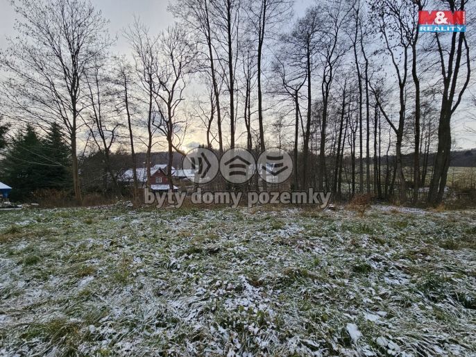 Prodej, Restaurace, stravování, Mařenice