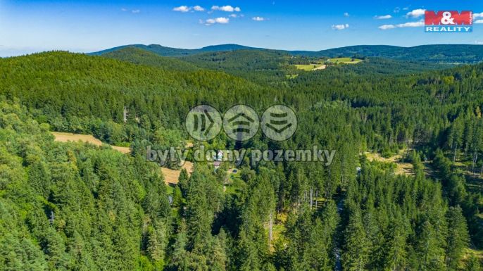 Prodej, Chata, Benešov nad Černou