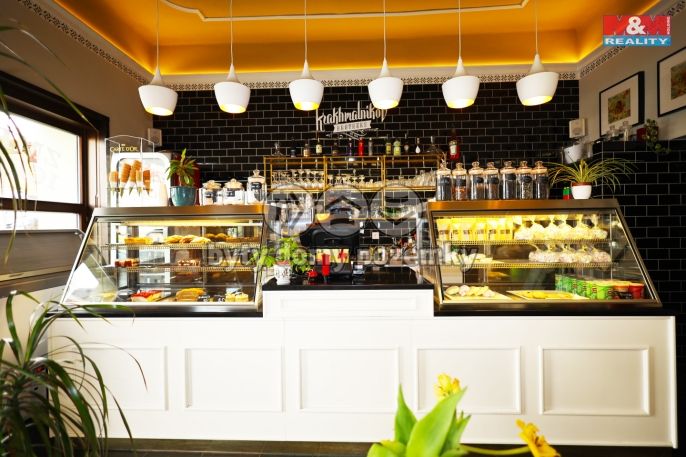 Pronájem, Restaurace, stravování, Karlovy Vary