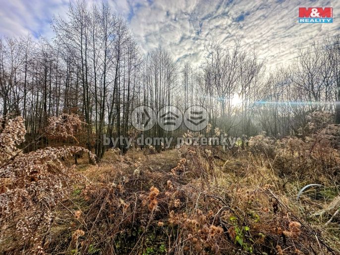 Prodej, Pozemek k bydlení, Petřvald
