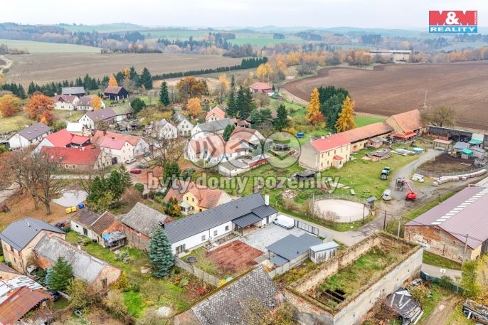 Prodej, Rodinný dům, Planá