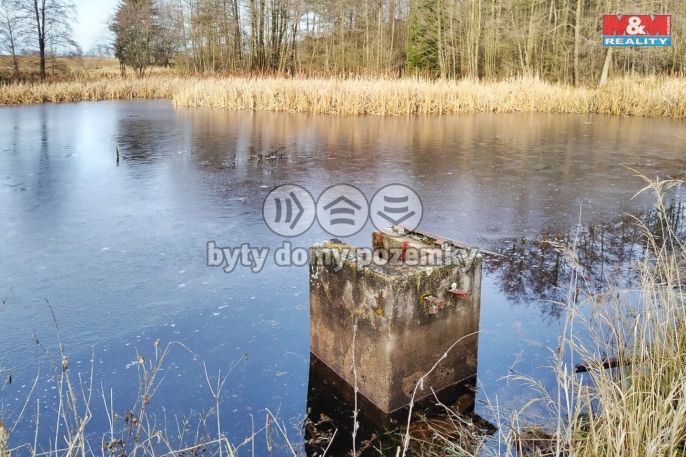 Prodej, Vodní plocha, Velká Losenice
