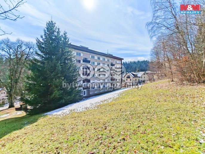 Prodej, Byt 1+1, Janské Lázně