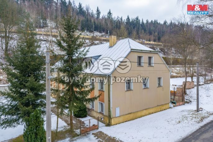 Prodej, Rodinný dům, Planá