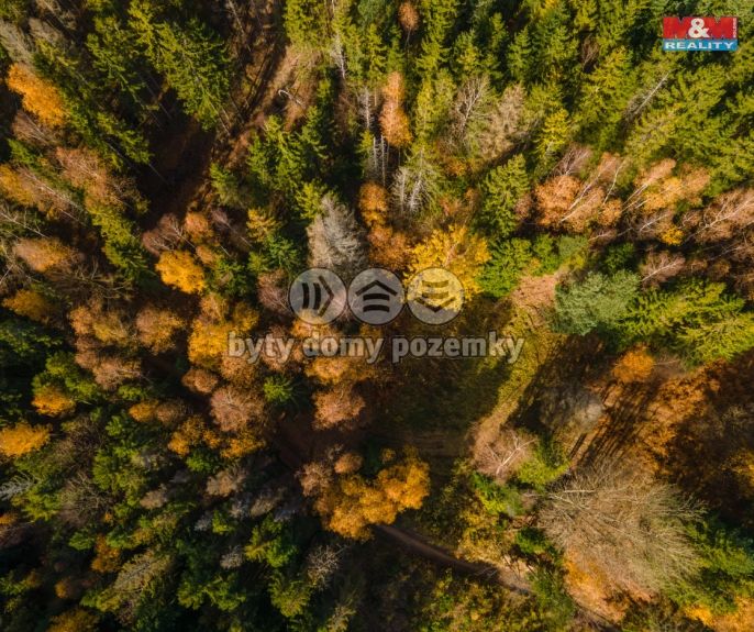 Prodej, Pastvina, Milíkov