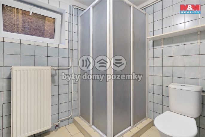 Pronájem, Byt 1+kk, Dolní Bousov