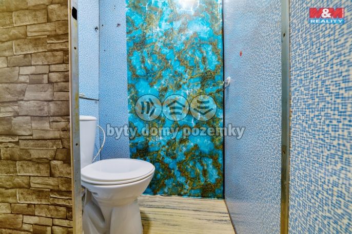 Prodej, Byt 2+1, Planá