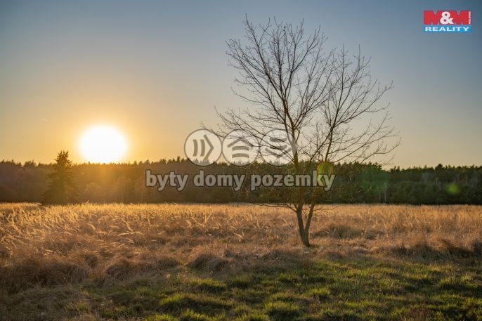 Prodej, Pozemek k bydlení, Nová Ves