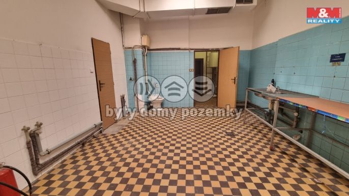 Pronájem, Obchod a služby, Český Těšín