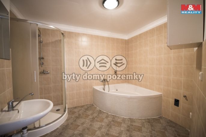 Pronájem, Byt 3+1, Nechanice