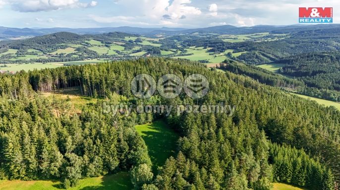 Prodej, Les, Petrovice u Sušice