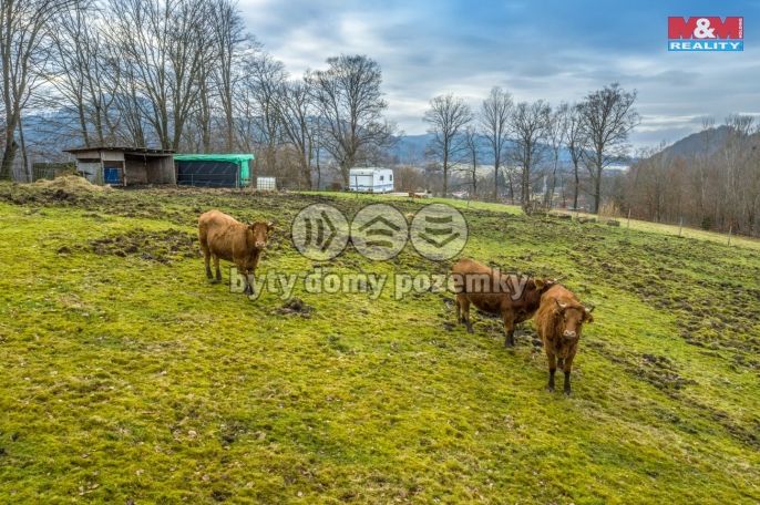 Prodej, Pozemek k bydlení, Chřibská