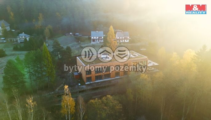 Prodej, Hotel, penzion, Havlovice