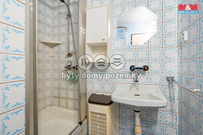 Prodej, Rodinný dům, Srnín
